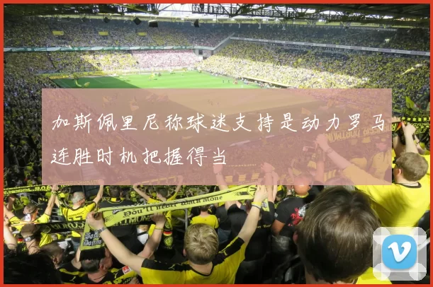 加斯佩里尼称球迷支持是动力罗马连胜时机把握得当